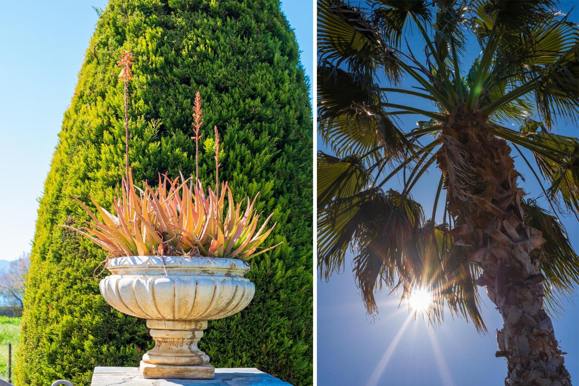 Апартаменти Christina'S Twin Palm Trees House Аґрія Екстер'єр фото